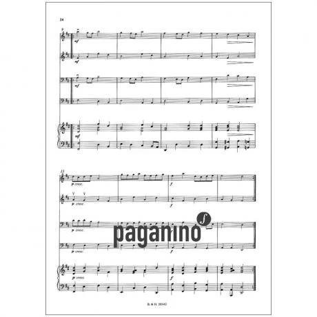 Nelson, S. M.: Stringsongs 2 Nelson, S. M.: Stringsongs - Image 2