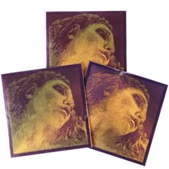 EVAH PIRAZZI GOLD Violin Strings A-D-G By Pirastro