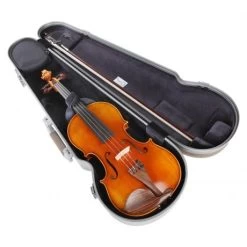 L'ÉTOILE HIGHTECH Violin Case By BAM -Virtuoso Strings Outlet Store 0a27a63e4af49c54d9553e558353972f 27959