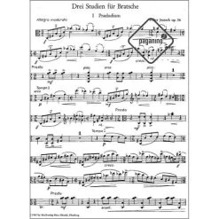 Jentsch, W.: 3 Studien Op. 36 -Virtuoso Strings Outlet Store 1fb3bf48eb7b5cc2101818d3e5d2593f 7670pzj