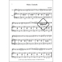 Fiddle Tunes For The Violinist -Virtuoso Strings Outlet Store 3189fe4020327ce4a731d8b0a079e192 17283pzj