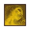 EVAH PIRAZZI GOLD Violin String D By Pirastro