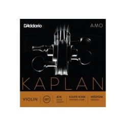 AMO Violin String D By Kaplan