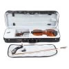 PACATO Student Violin Set