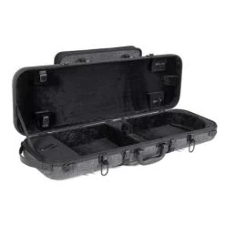 FLAX BIO Violin Case By GEWA