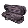 RIBONI Master Oblong Violincase